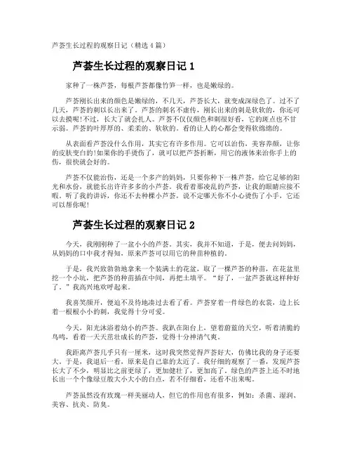 芦荟生长过程的观察日记