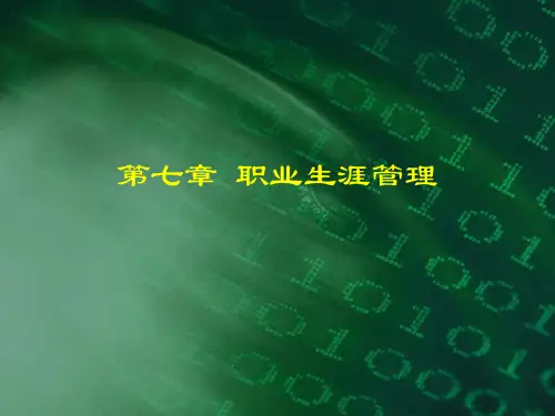第七章 职业生涯规划