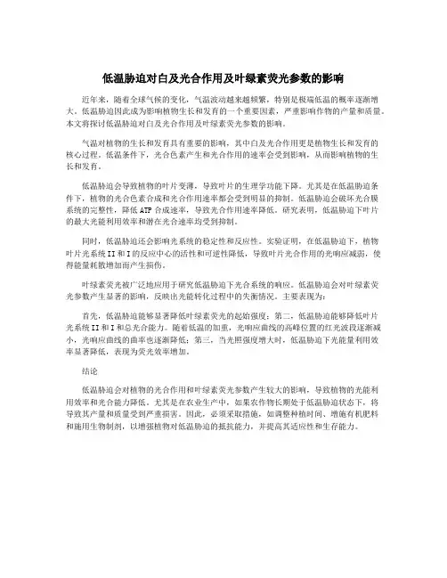 低温胁迫对白及光合作用及叶绿素荧光参数的影响