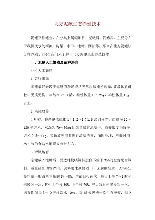 北方泥鳅生态养殖技术