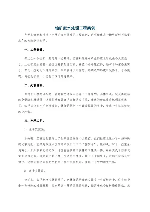 铀矿废水处理工程案例