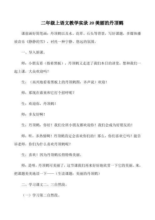 二年级上语文教学实录20美丽的丹顶鹤