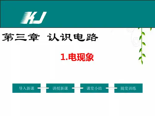 教科版九年级上册物理电现象课件