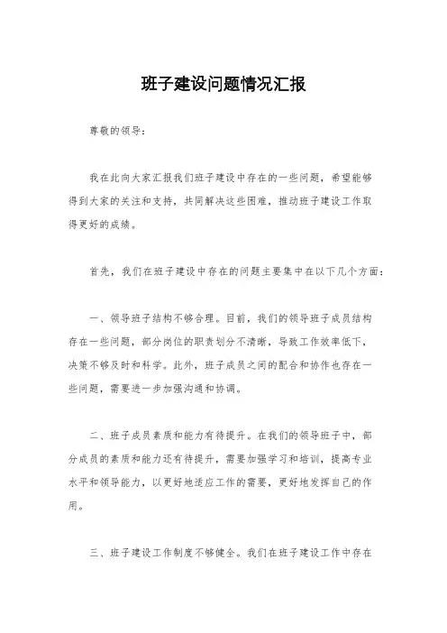 班子建设问题情况汇报