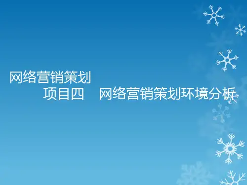 网络营销策划4