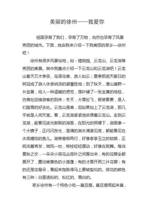 美丽的徐州——我爱你