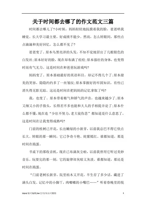 关于时间都去哪了的作文范文三篇(精编版)
