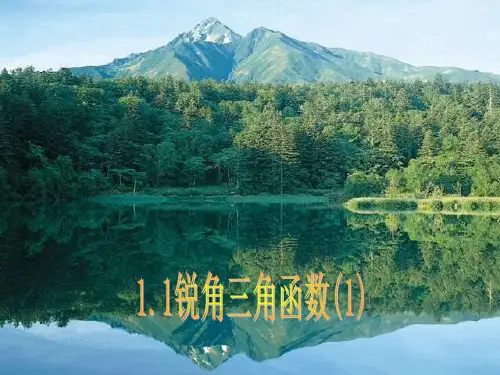 浙教版九下 1.1锐角三角函数 课件