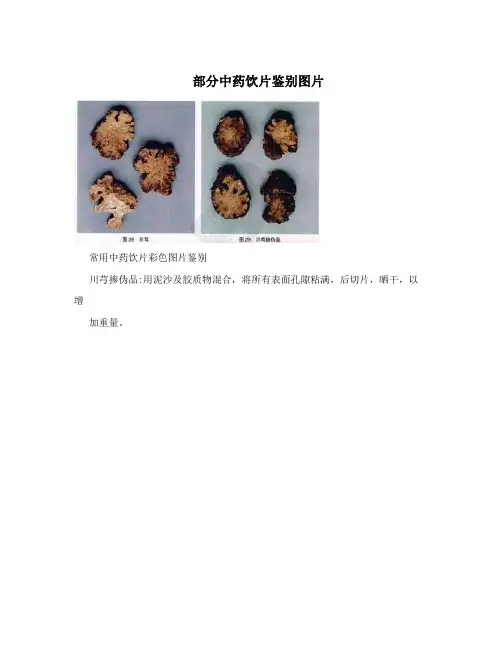 部分中药饮片鉴别图片