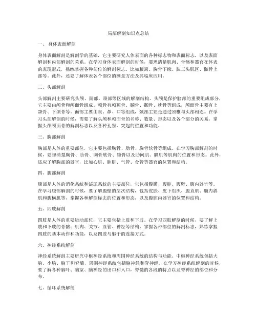 局部解剖知识点总结