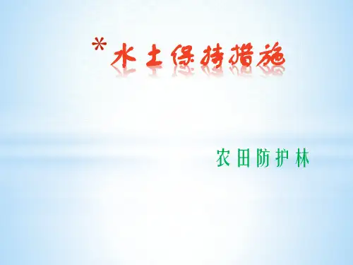 农田防护林