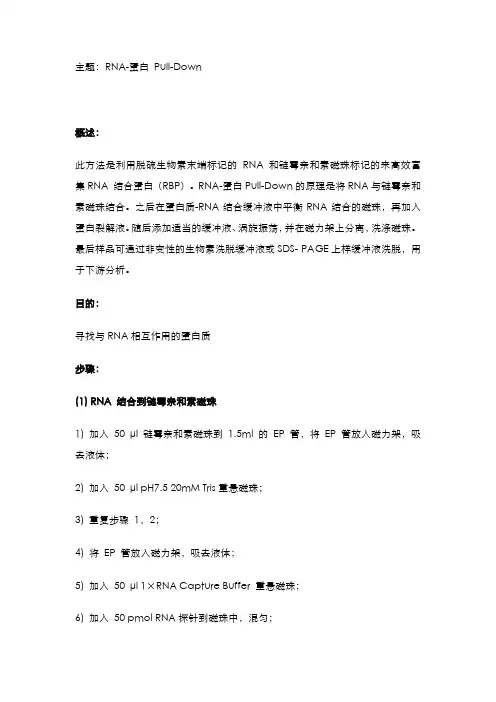 分子机制-蛋白与核酸作用检测-RNA-蛋白 Pull-Down
