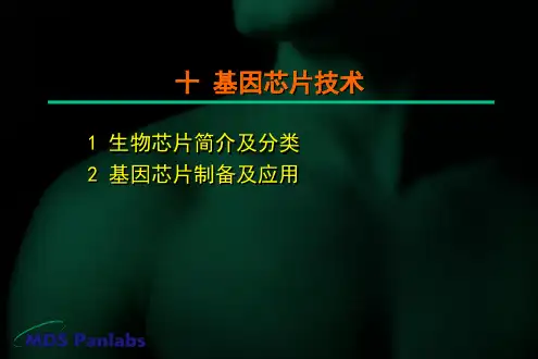 《基因芯片技术》PPT课件
