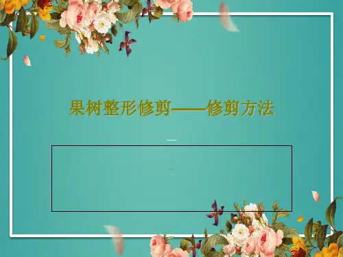 果树整形修剪——修剪方法PPT42页