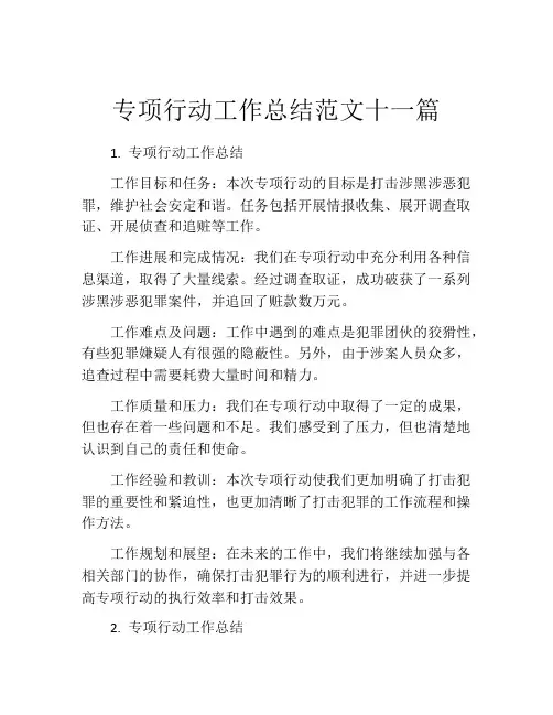 专项行动工作总结范文十一篇