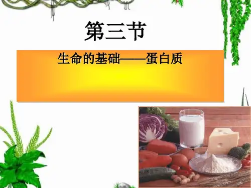 人教版化学选修一1.3《生命的基础—蛋白质》教学课件