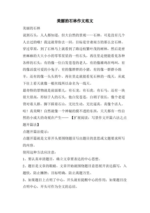 美丽的石林作文范文