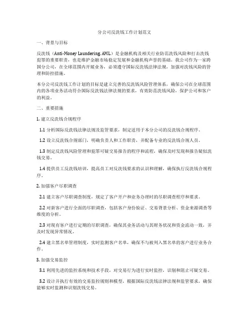 分公司反洗钱工作计划范文