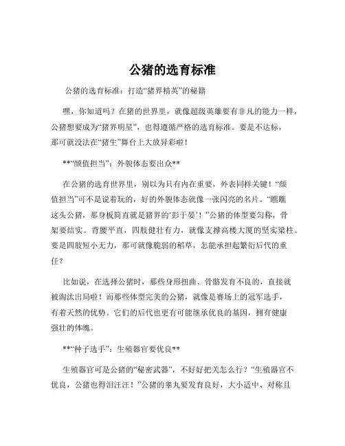 公猪的选育标准