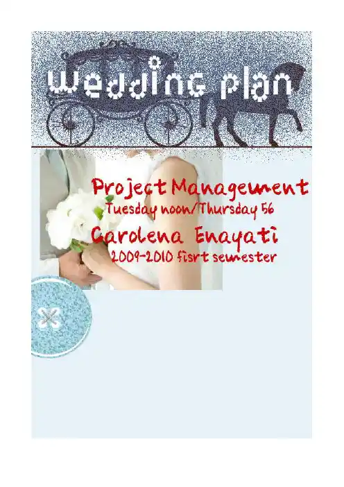 项目管理 project management 论文