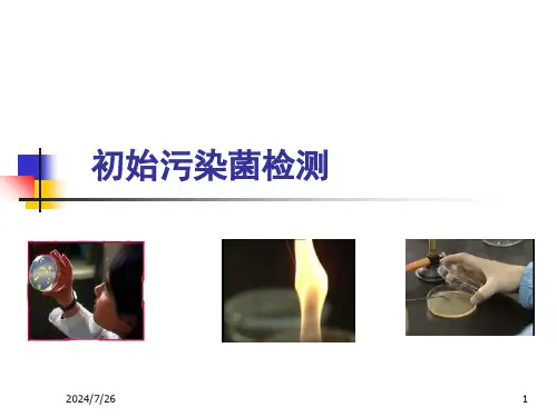 初始污染菌检测课件