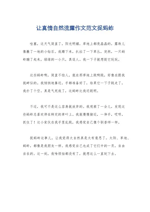 让真情自然流露作文范文捉蚂蚱