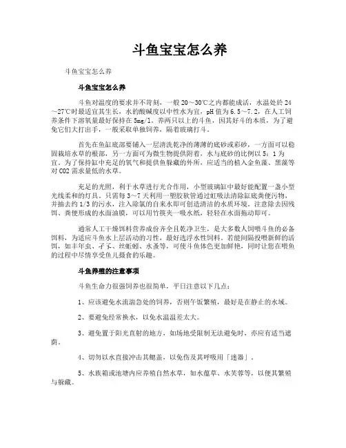 斗鱼宝宝怎么养
