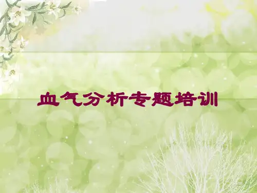 血气分析专题培训培训课件
