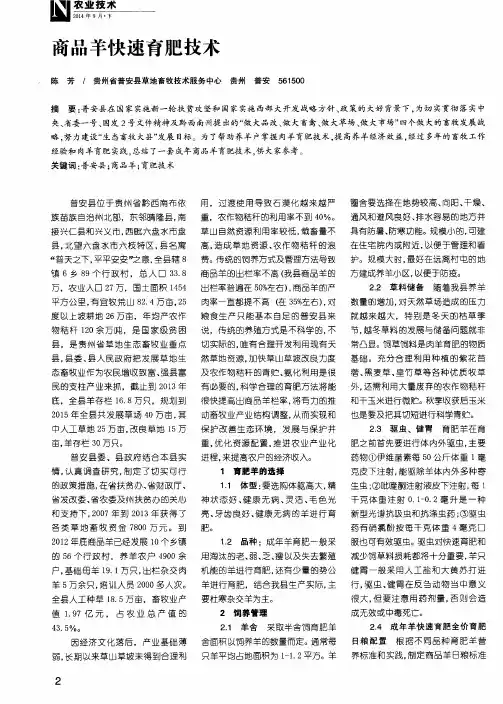 商品羊快速育肥技术