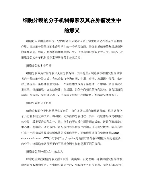 细胞分裂的分子机制探索及其在肿瘤发生中的意义