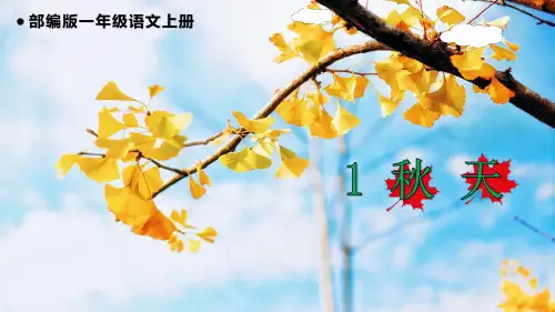 部编版小学一年级语文上册《秋 天》教学课件