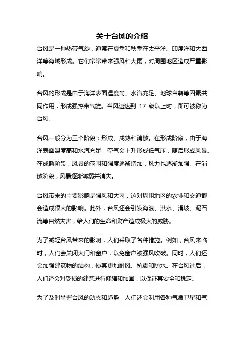关于台风的介绍