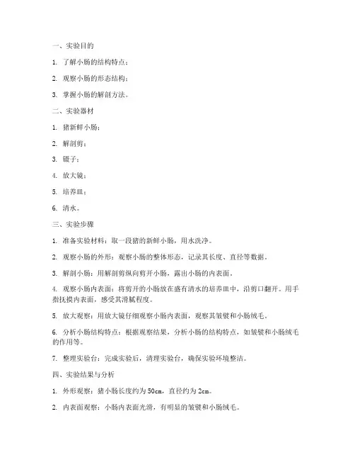 小肠结构实验报告