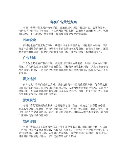 电视广告策划方案