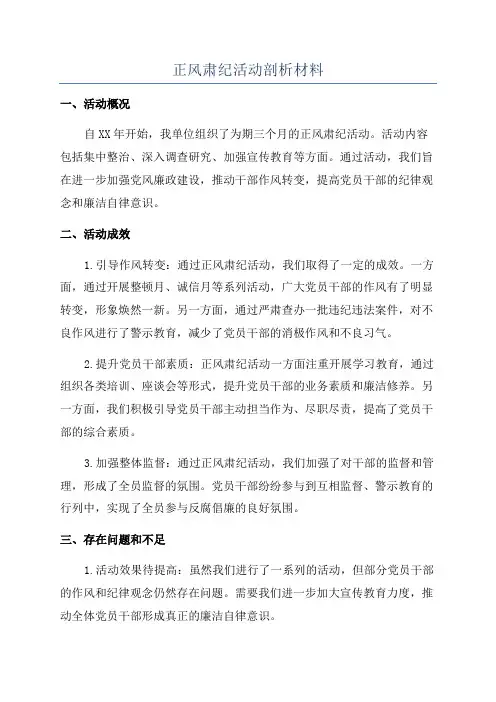 正风肃纪活动剖析材料