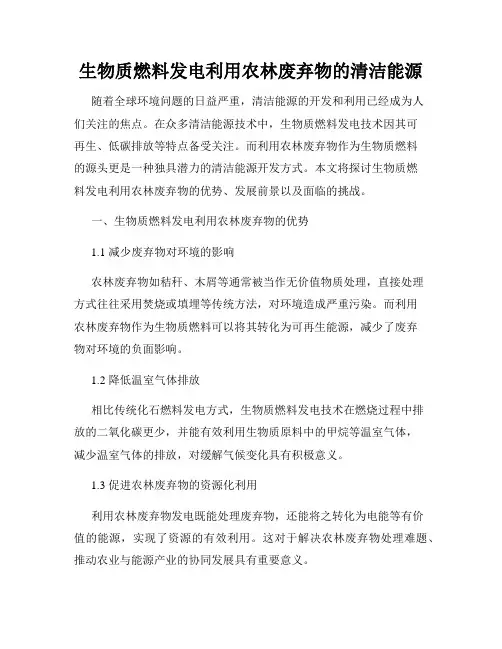 生物质燃料发电利用农林废弃物的清洁能源