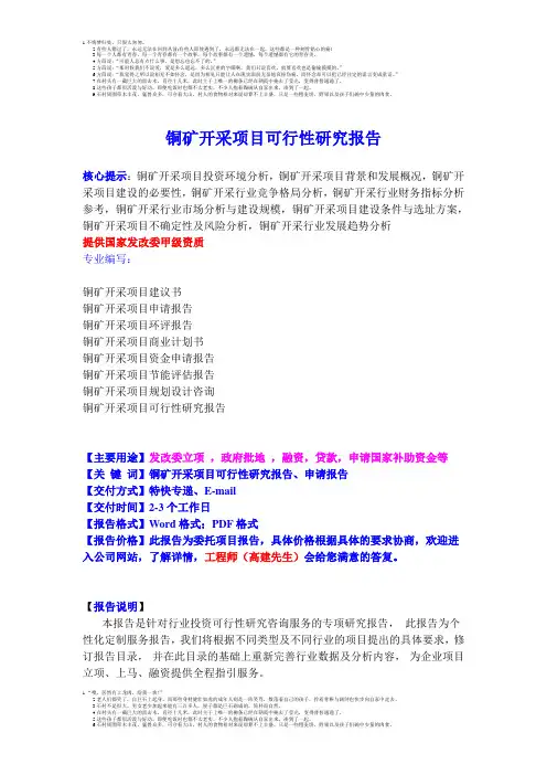 铜矿开采项目可行性研究报告