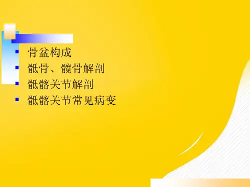 骶髂关节课件学习PPT文档-优秀PPT文档