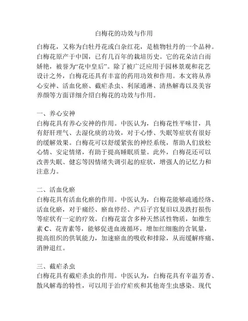 白梅花的功效与作用