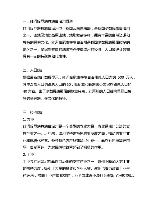 红河哈尼族彝族自治州统计典型案例剖析
