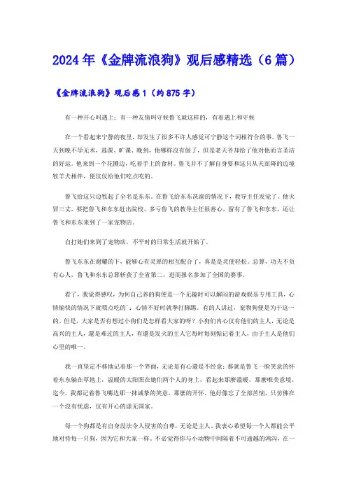 2024年《金牌流浪狗》观后感精选(6篇)