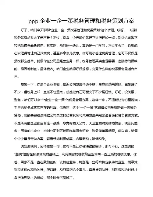 ppp企业一企一策税务管理和税务策划方案