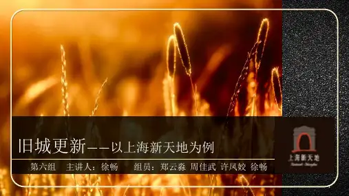 上海新天地分析ppt课件