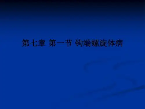 第七章 第一节 钩端螺旋体病PPT课件