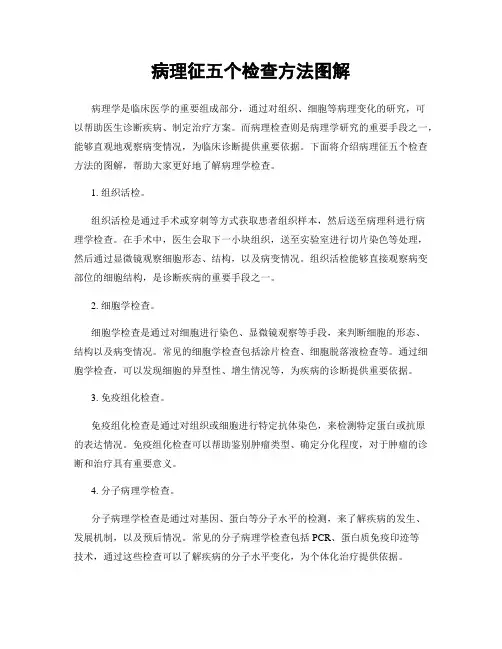 病理征五个检查方法图解