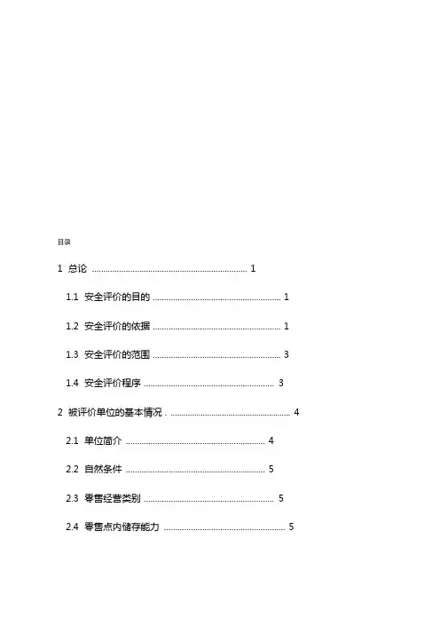 烟花爆竹安全评价报告模板