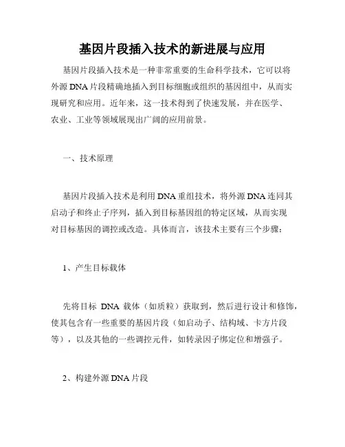 基因片段插入技术的新进展与应用