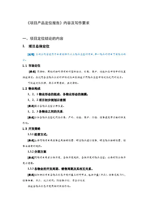 项目产品定位报告作业指引