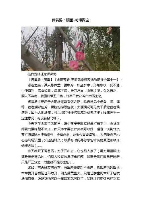肾着汤：腰重-龙博探宝