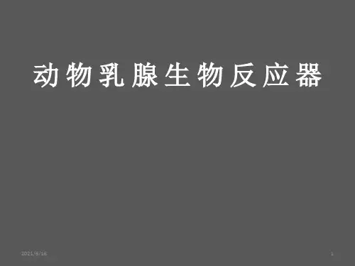 乳腺生物反应器
